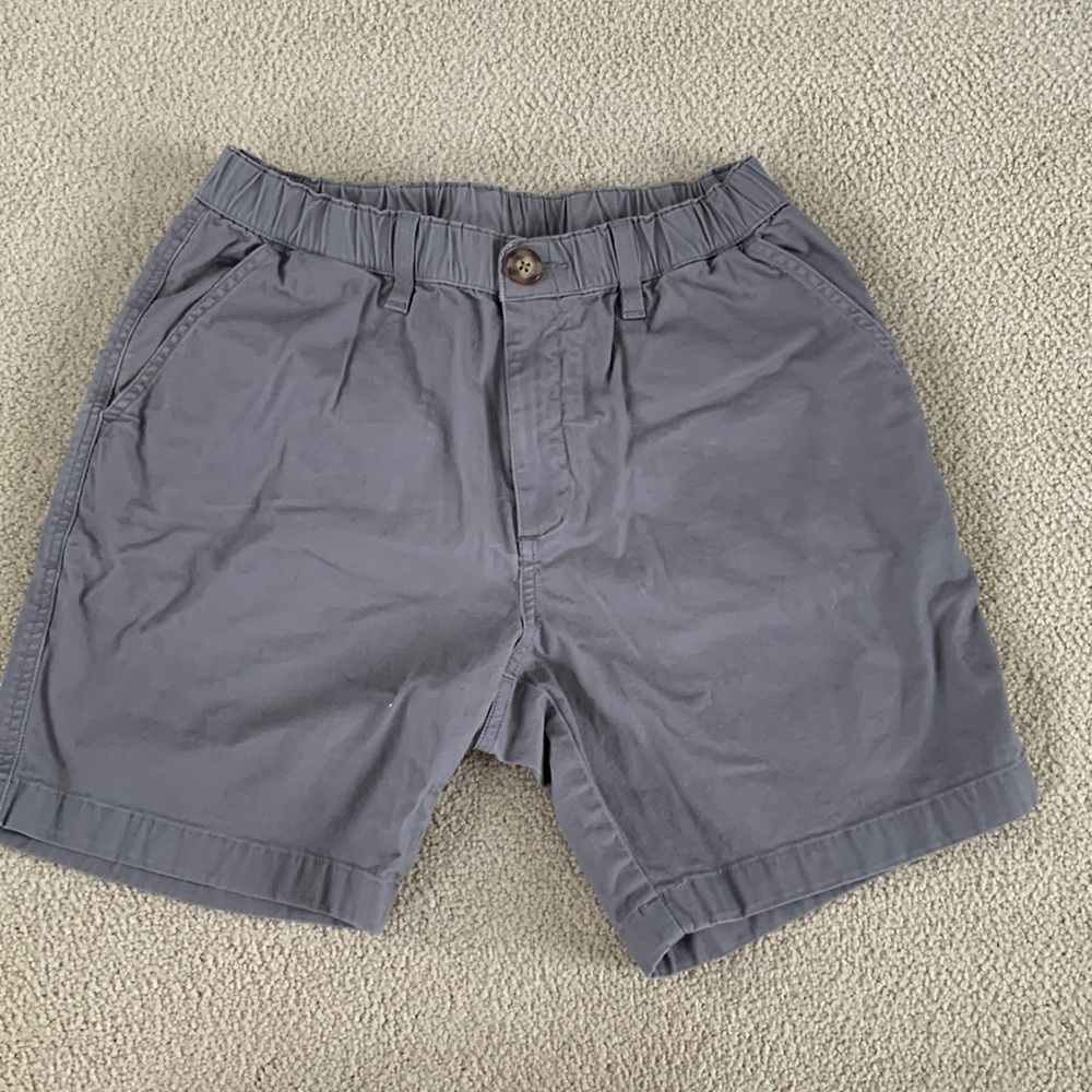 Men’s chubbies “The Originals Stretch Shorts”